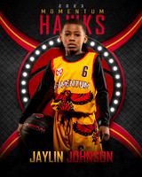 Hawks 8x10- J.Johnson