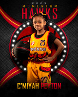 Hawks 8x10- C.Peyton