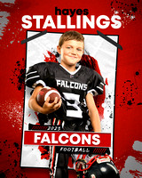 falcons h.stallings