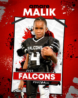 falcons a.malik