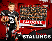 falcons h.stallingsMM