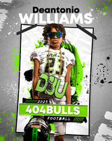 404BullsPaint -D.Williams
