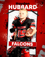 falcons H.Hubbard